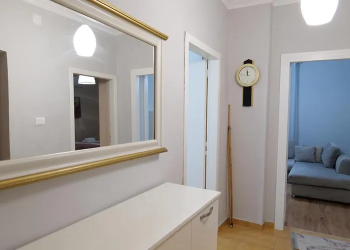 Center Niko 04 Tiran